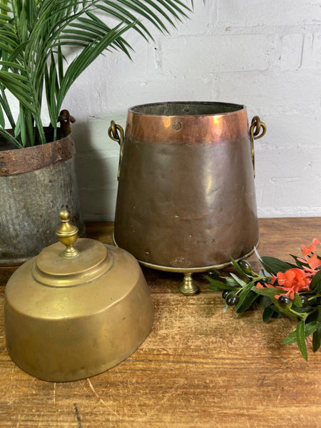 Antique 19th Century Copper Brass Lidded Fireside Coal Scuttle