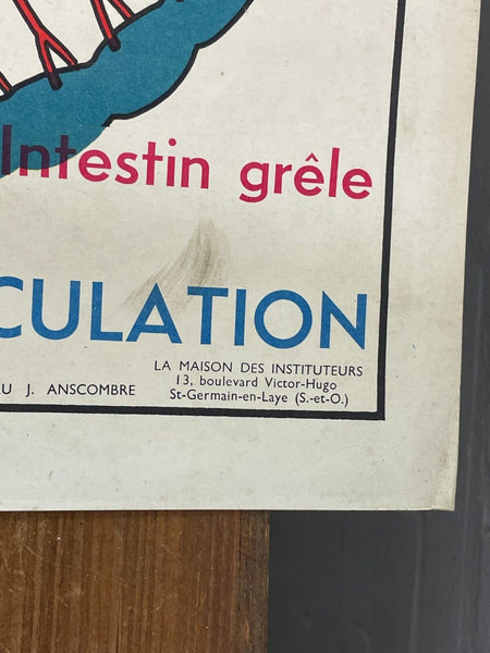 Vintage French Rossignal Anatomical Medical Poster Circulation