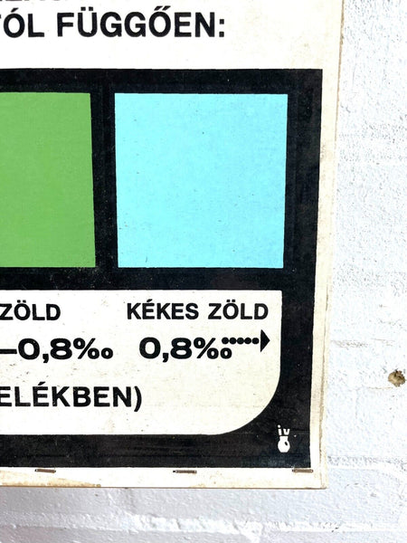 Vintage Retro Hungarian Industrial Factory Safety Warning Poster