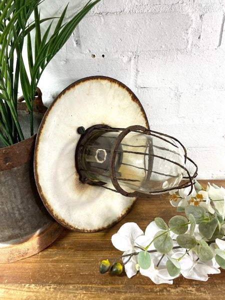 Vintage Reclaimed Industrial Enamel Caged Ceiling Exterior Light Revo