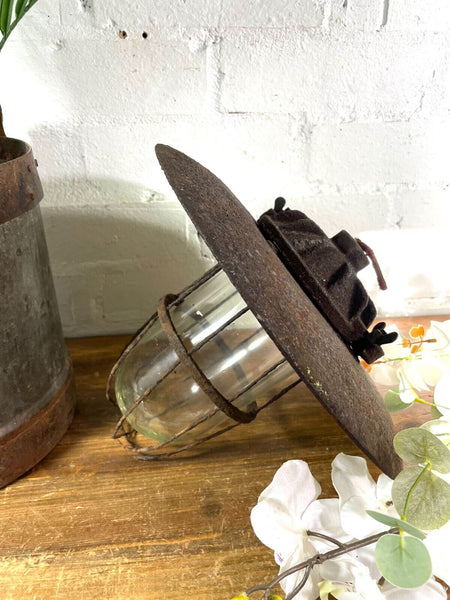 Vintage Reclaimed Industrial Enamel Caged Ceiling Exterior Light Revo