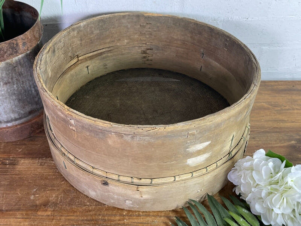Vintage French Bentwood Agricultural Garden Potato Sieve Riddle Wall Decor