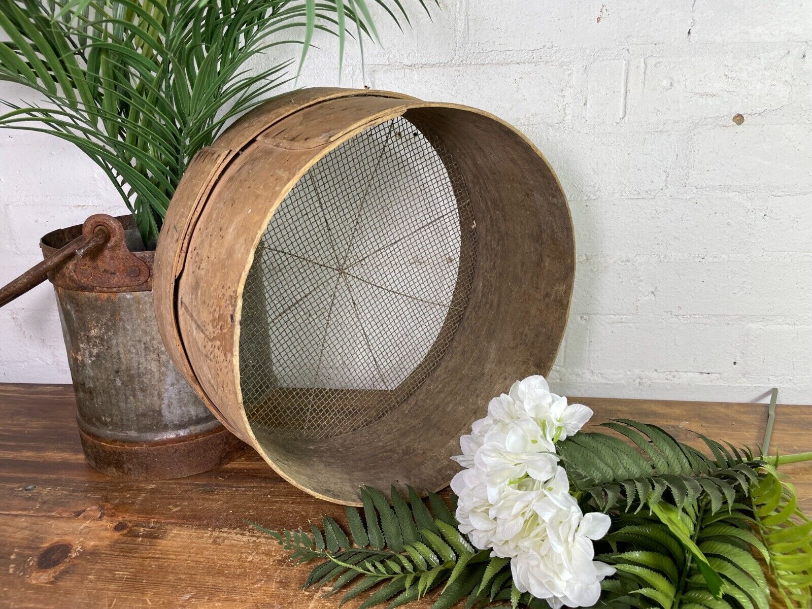 Vintage French Bentwood Agricultural Garden Potato Sieve Riddle Wall Decor