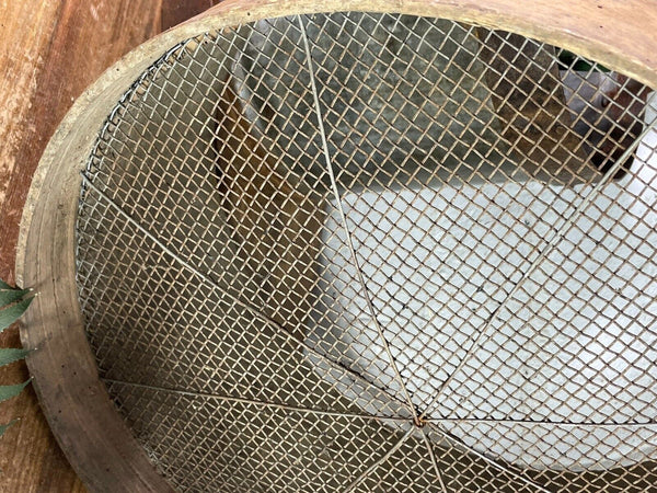 Vintage French Bentwood Agricultural Garden Potato Sieve Riddle Wall Decor