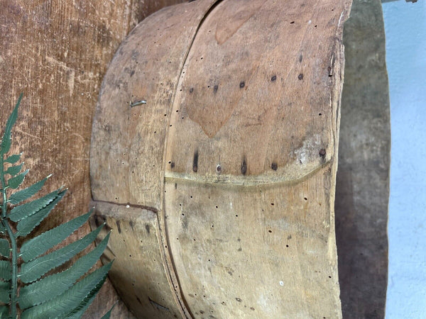 Vintage French Bentwood Agricultural Garden Potato Sieve Riddle Wall Decor