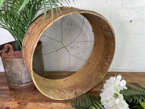 Vintage French Bentwood Agricultural Garden Potato Sieve Riddle Wall Decor