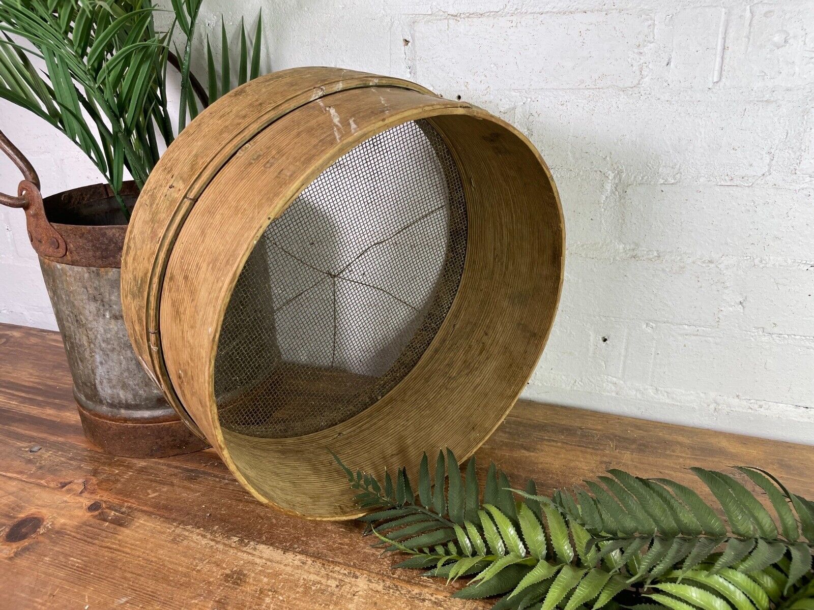 Vintage French Bentwood Agricultural Garden Potato Sieve Riddle Wall Decor