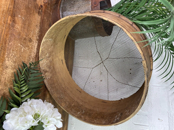 Vintage French Bentwood Agricultural Garden Potato Sieve Riddle Wall Decor