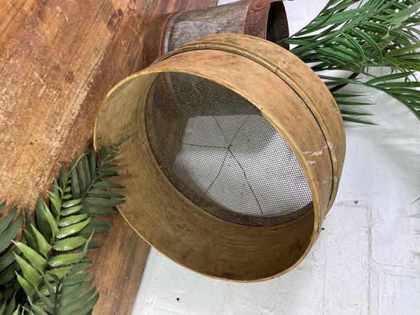 Vintage French Bentwood Agricultural Garden Potato Sieve Riddle Wall Decor