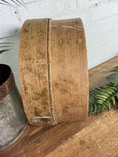 Vintage French Bentwood Agricultural Garden Potato Sieve Riddle Wall Decor