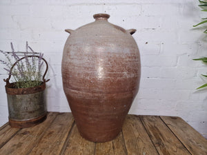 Very Large French Stoneware Terracotta Walnut Oil Pitcher Confit Pot