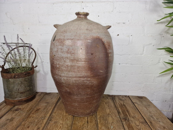 Very Large French Stoneware Terracotta Walnut Oil Pitcher Confit Pot