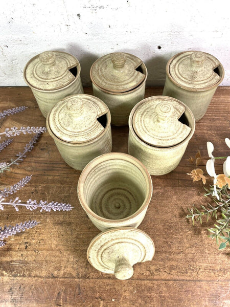 Vintage Cornish Rashleigh Stoneware Ceramic Pottery Sauce Condiments Mustard Pot