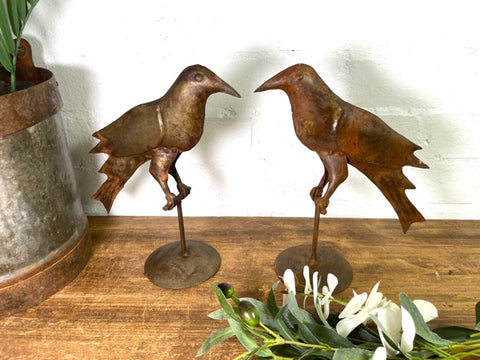 Rustic Rusty Reclaimed Recycled Metal Oil Drum Paint Tin Bird  Sculpture Garden