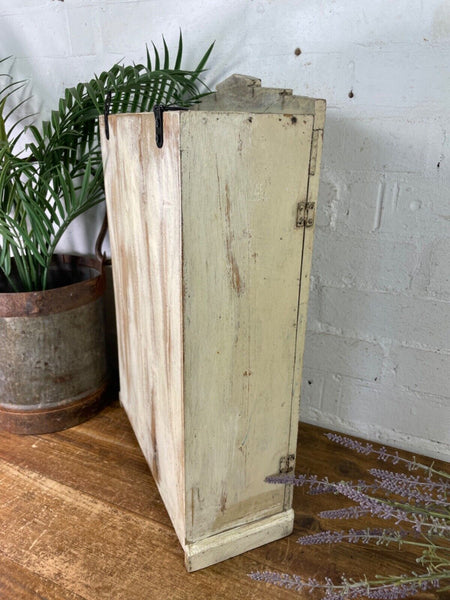 Vintage Rustic Indian Wooden Glazed Shop Display Bathroom Kitchen Wall Cabinet