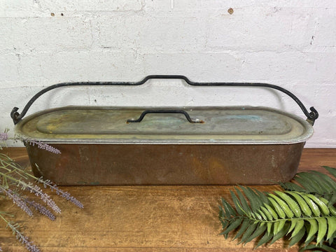 Vinatge Antique French Copper Fish Kettle Poacher Herb Garder Suculent Planter