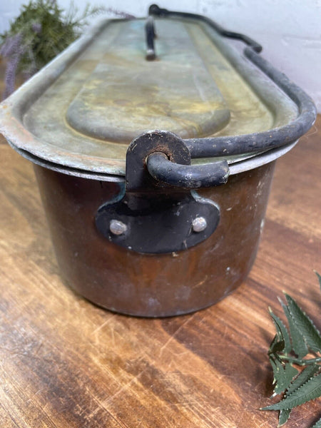 Vinatge Antique French Copper Fish Kettle Poacher Herb Garder Suculent Planter