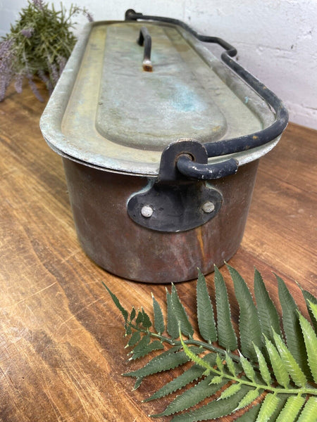 Vinatge Antique French Copper Fish Kettle Poacher Herb Garder Suculent Planter