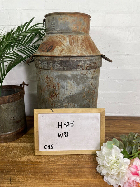 Vintage Large Rustic Galvanised Milk Churn Garden Planter Wedding Prop