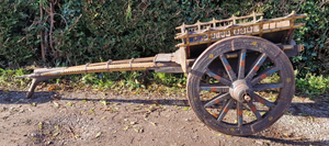Antique 19th Century Wooden Ox Bullock Horse Cart Wagon Film Wedding Retail Prop