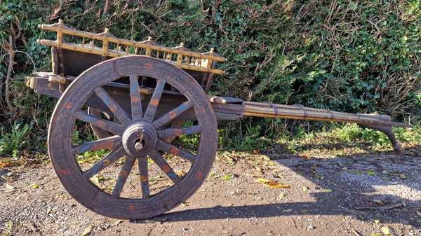Antique 19th Century Wooden Ox Bullock Horse Cart Wagon Film Wedding Retail Prop