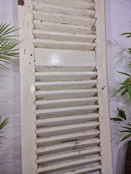 Vintage Single French Rustic White Chippy Painted Wooden Louvered Shutter Doors