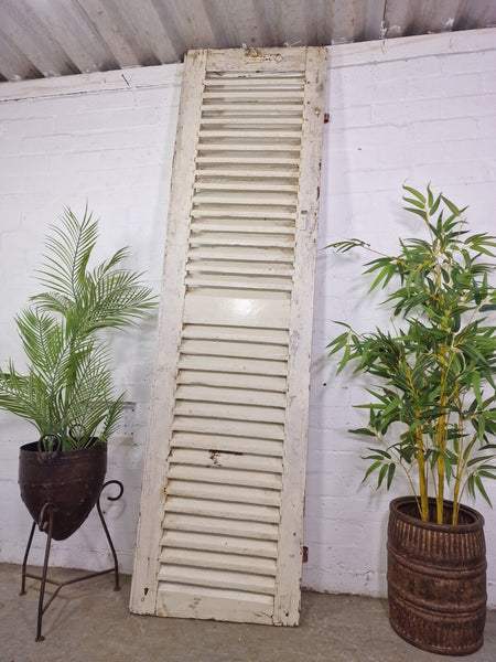 Vintage Single French Rustic White Chippy Painted Wooden Louvered Shutter Doors