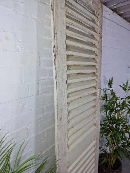 Vintage Single French Rustic White Chippy Painted Wooden Louvered Shutter Doors