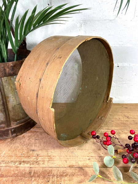 Vintage Rustic Bentwood Agricultural Garden Potato Sieve Riddle Wall Decor