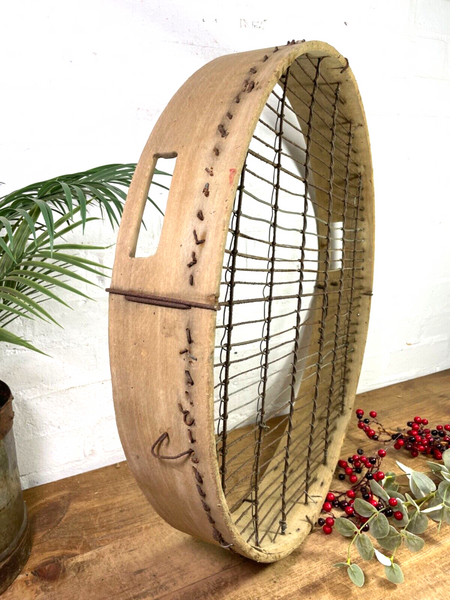 Vintage Rustic Bentwood Agricultural Garden Potato Sieve Riddle Wall Decor