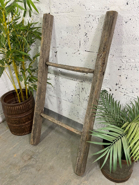 Vintage Rustic French Fruit Picking Ladder Ladder Kitchen Hanging Rack Prop