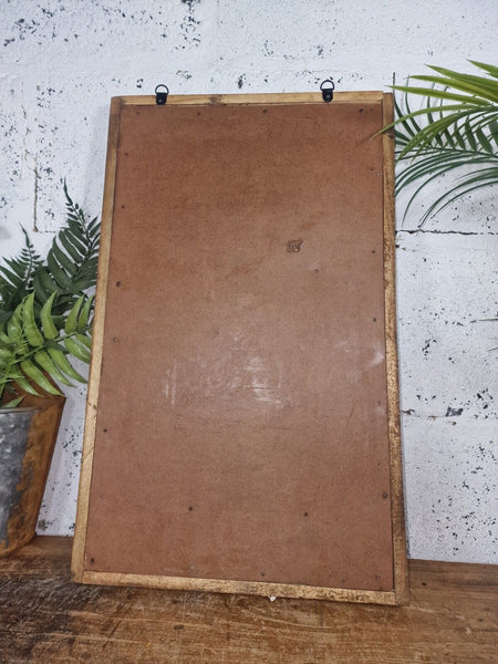 Vintage Rustic Reclaimed Indian Temple Wooden Bathroom Hallway Wall Mirror