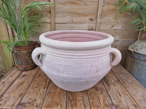 Large Rustic Mediterranean Terracotta Olive Tree Garden Plant Pot Planter Urn