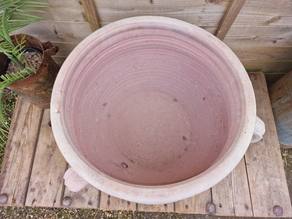 Large Rustic Mediterranean Terracotta Olive Tree Garden Plant Pot Planter Urn