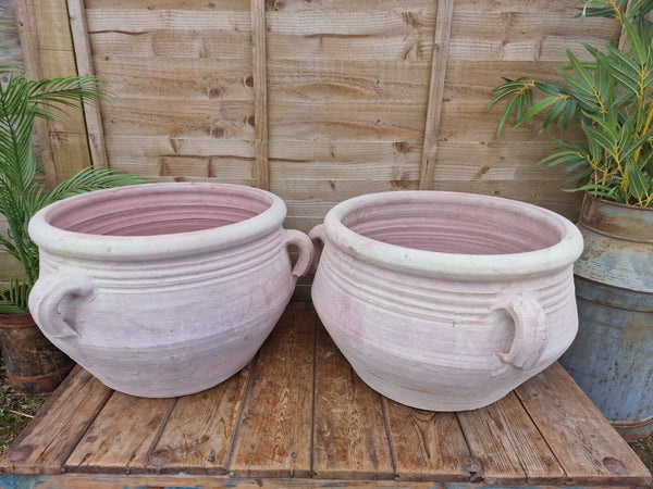 Large Rustic Mediterranean Terracotta Olive Tree Garden Plant Pot Planter Urn