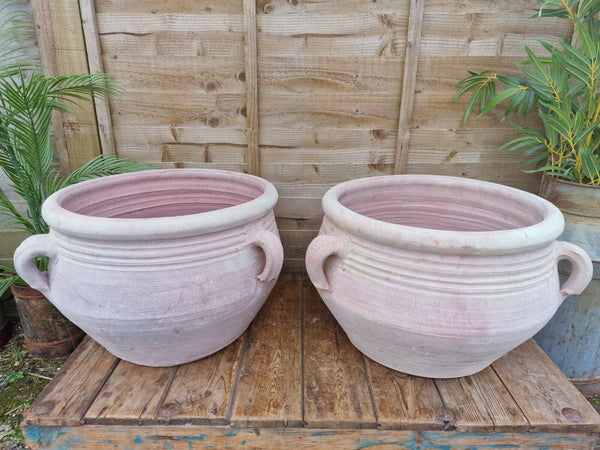 Large Rustic Mediterranean Terracotta Olive Tree Garden Plant Pot Planter Urn