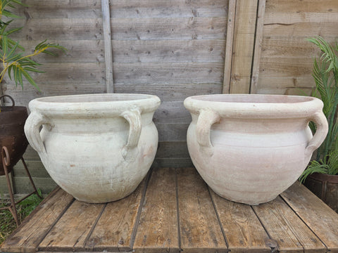 Large Rustic Mediterranean Terracotta Olive Tree Garden Plant Pot Planter Urn