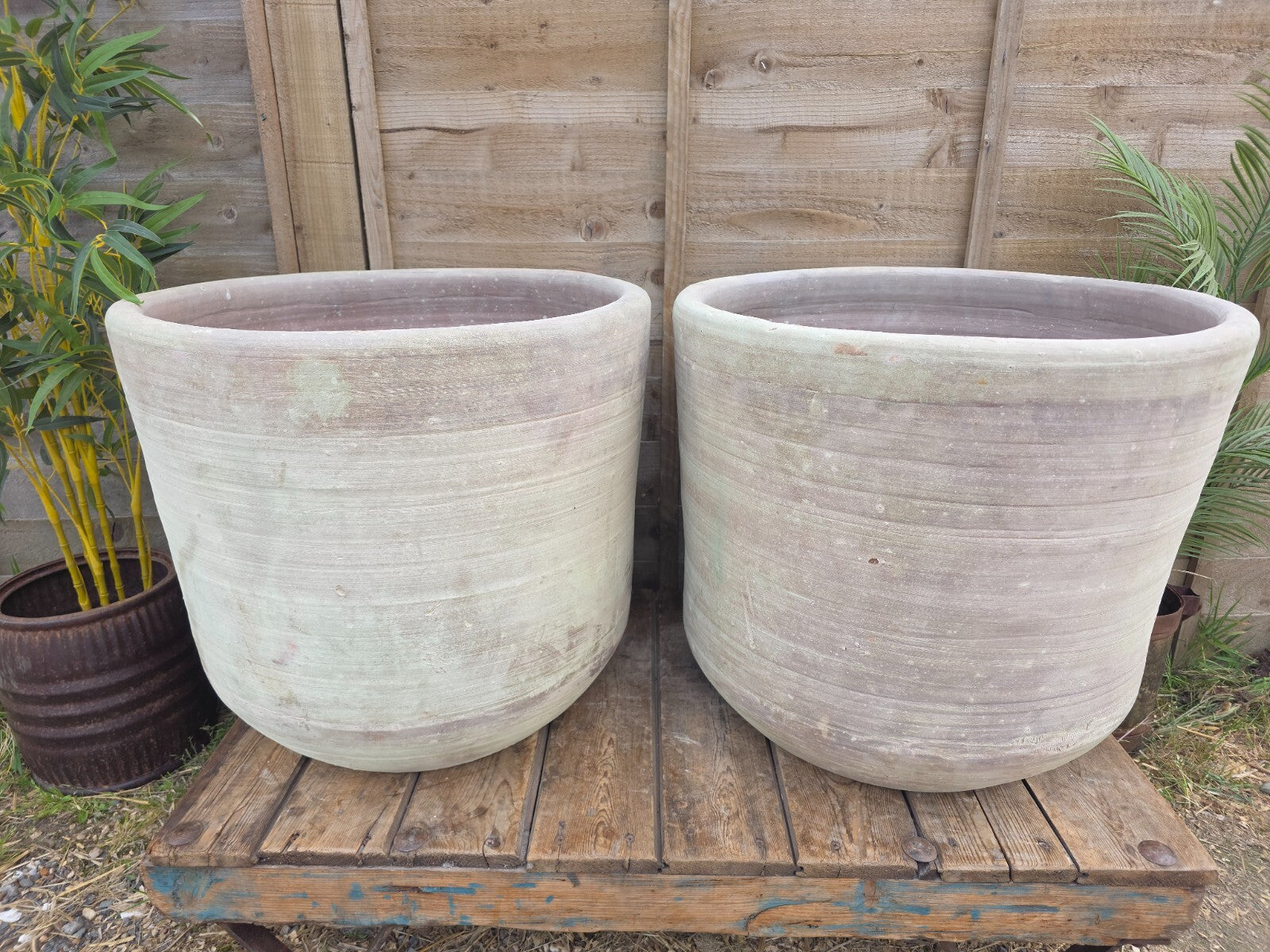 Large Rustic Mediterranean Terracotta Olive Tree Garden Plant Pot Planter Urn