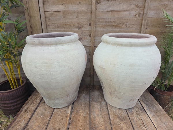 Large Rustic Mediterranean Terracotta Olive Tree Garden Plant Pot Planter Urn