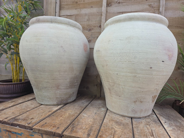 Large Rustic Mediterranean Terracotta Olive Tree Garden Plant Pot Planter Urn