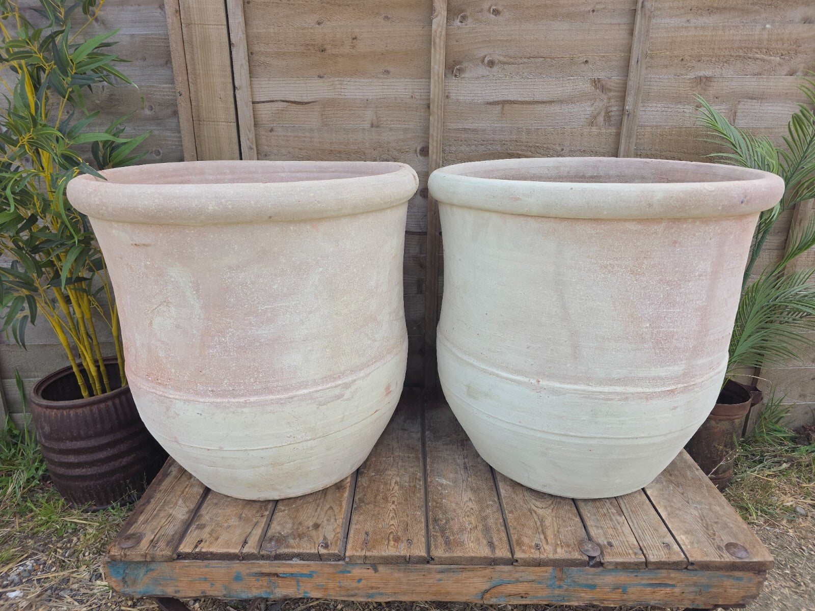 Very Large Rustic Mediterranean Terracotta Olive Tree Garden Plant Pot Planter