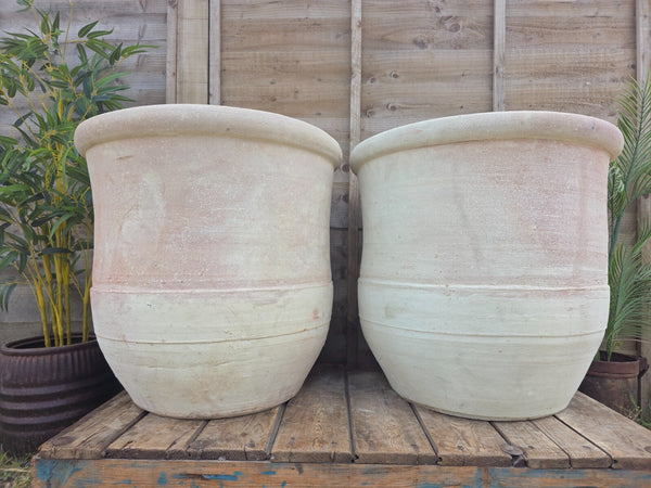 Very Large Rustic Mediterranean Terracotta Olive Tree Garden Plant Pot Planter