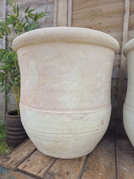 Very Large Rustic Mediterranean Terracotta Olive Tree Garden Plant Pot Planter