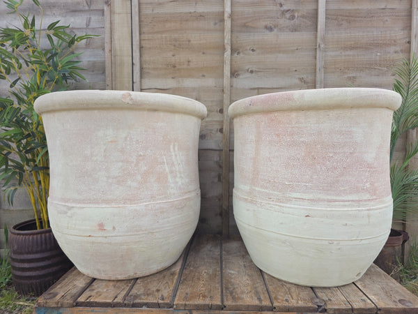 Very Large Rustic Mediterranean Terracotta Olive Tree Garden Plant Pot Planter