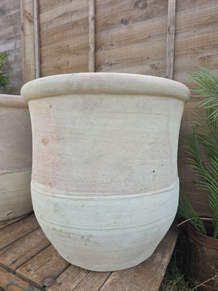 Very Large Rustic Mediterranean Terracotta Olive Tree Garden Plant Pot Planter