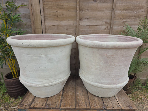 Very Large Rustic Mediterranean Terracotta Olive Tree Garden Plant Pot Planter