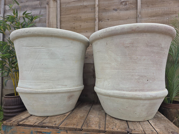 Very Large Rustic Mediterranean Terracotta Olive Tree Garden Plant Pot Planter