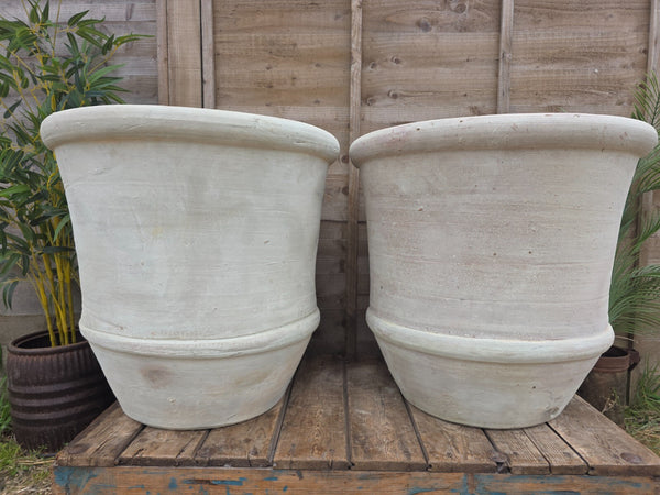 Very Large Rustic Mediterranean Terracotta Olive Tree Garden Plant Pot Planter