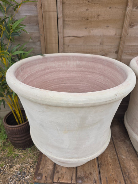 Very Large Rustic Mediterranean Terracotta Olive Tree Garden Plant Pot Planter