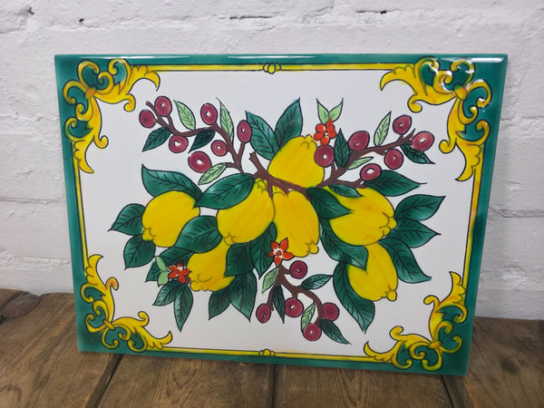Italian Ceramic Hand Painted Terracotta Lemon Tree Kitchen Tiles Splashback